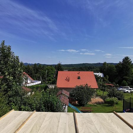 Bieszczadzki Hals - Dom Blizniak Apartment Polanczyk Phòng bức ảnh